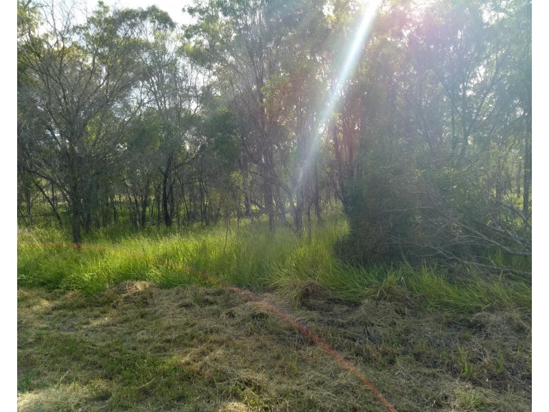 51 Billabong Way, Bucca QLD 4670