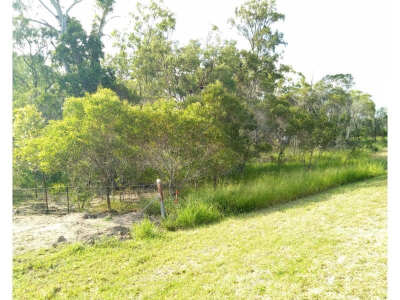 51 Billabong Way, Bucca QLD 4670