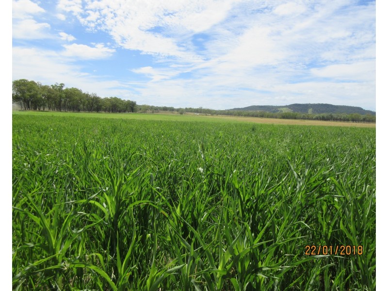 212 Normans Rd, Splinter Creek QLD 4630