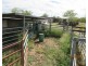 212 Normans Rd, Splinter Creek QLD 4630