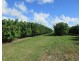 Alloway QLD 4670