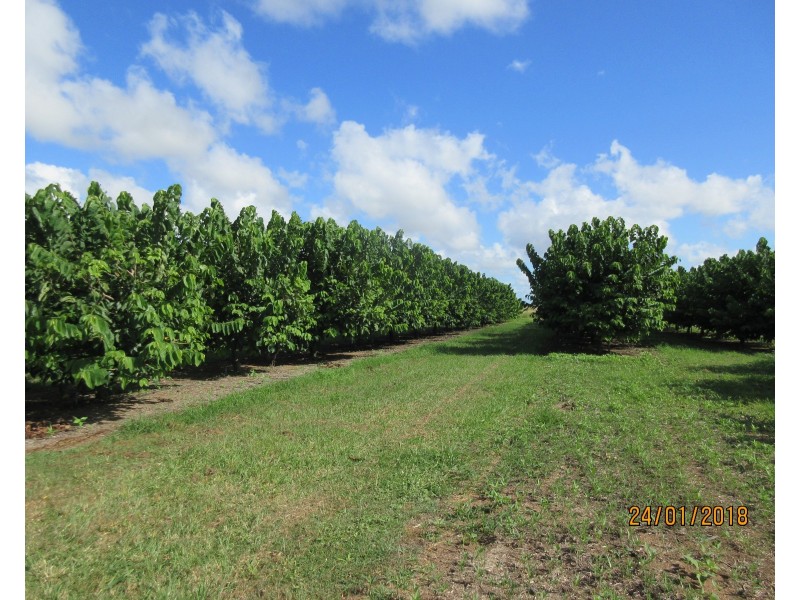Alloway QLD 4670