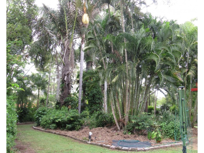 Sharon QLD 4670