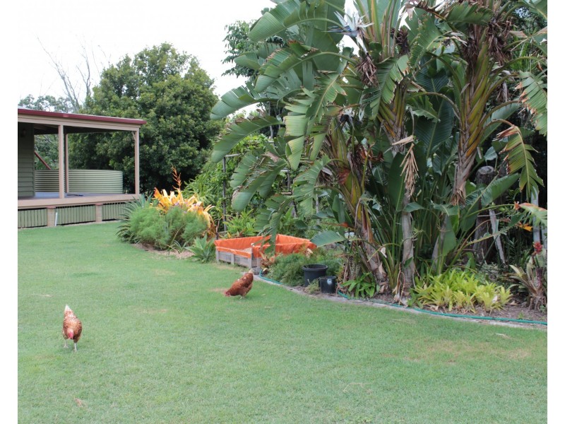 155 Kalbar Rd, South Kolan QLD 4670