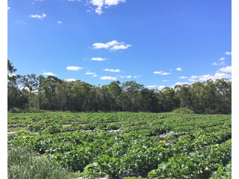 Bullyard QLD 4671