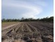 Bullyard QLD 4671