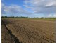 Bullyard QLD 4671