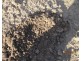 Bullyard QLD 4671