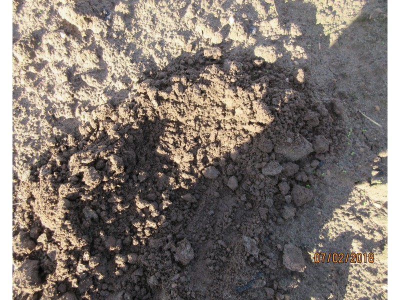 Bullyard QLD 4671