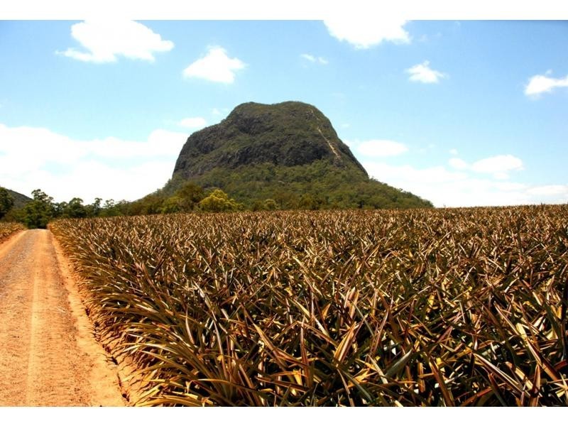 Glass House Mountains QLD 4518