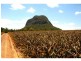 Glass House Mountains QLD 4518
