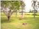 78 Darling Road, Jensen QLD 4818