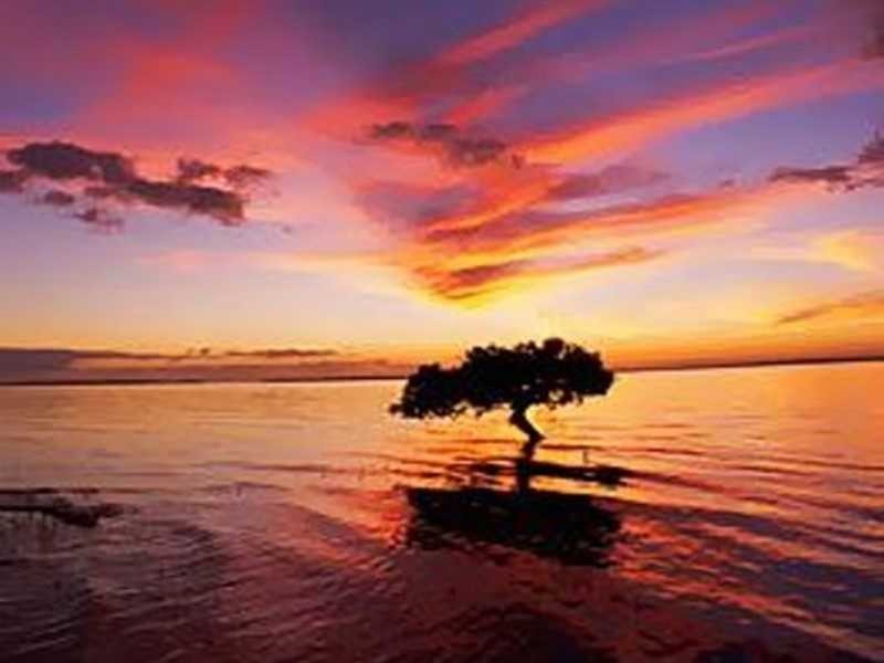 Hervey Bay QLD 4655