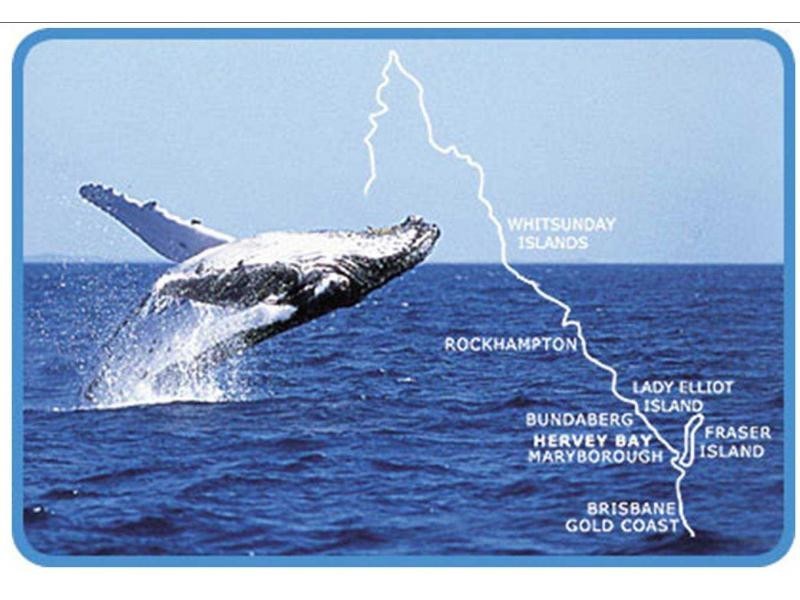 Hervey Bay QLD 4655