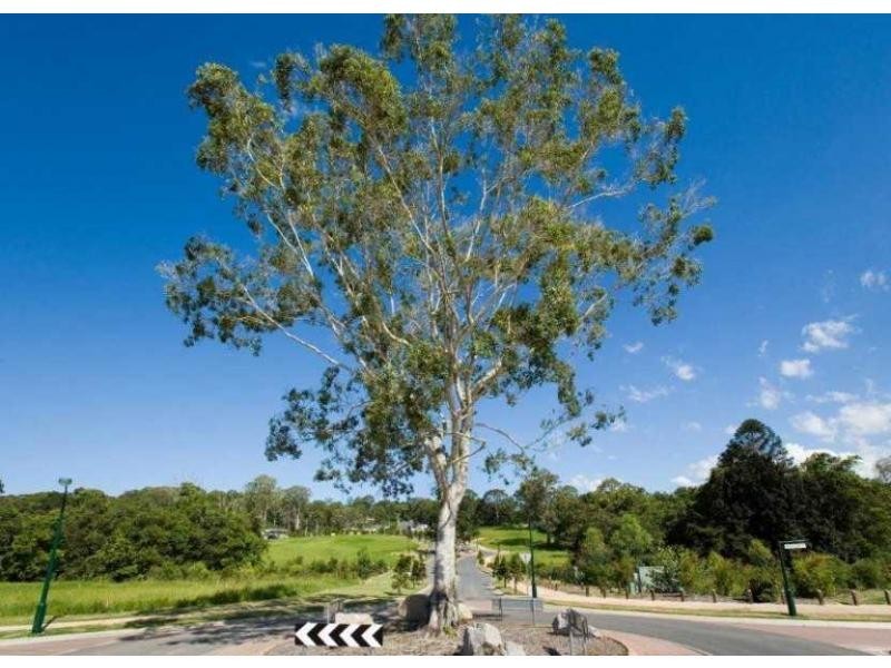 23 Anticipation Close, The Image, Nambour QLD 4560