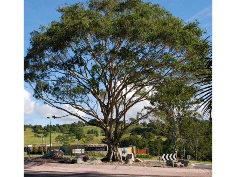 24 Perception Road, The Image, Nambour QLD 4560