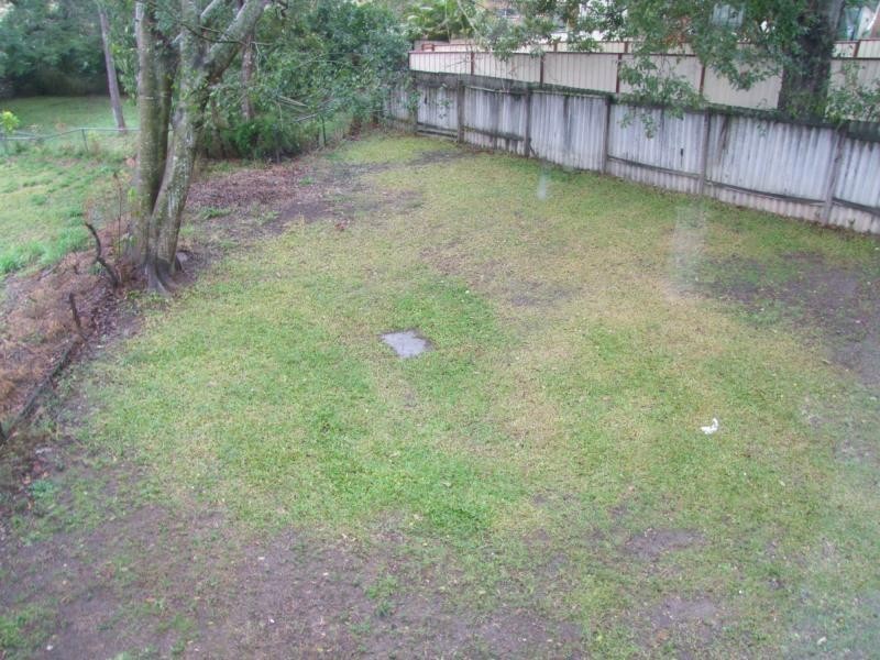 53 Windsor Street, Slacks Creek QLD 4127