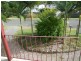 15 Spruce Street, Kingston QLD 4114