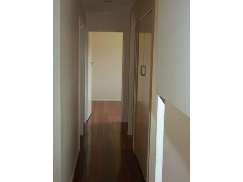 31 Marshall Street, Kingston QLD 4114