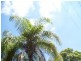 20 Mactay Street, Woodridge QLD 4114