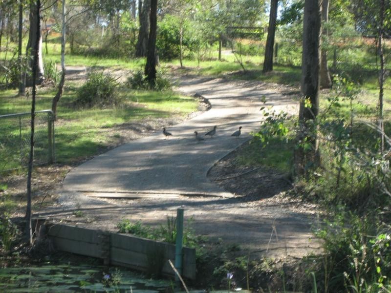 Holmview QLD 4207