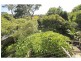 Nelson Bay NSW 2315