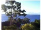 72 Government Road, Nelson Bay NSW 2315