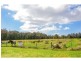 4 Cromarty Lane, Bobs Farm NSW 2316