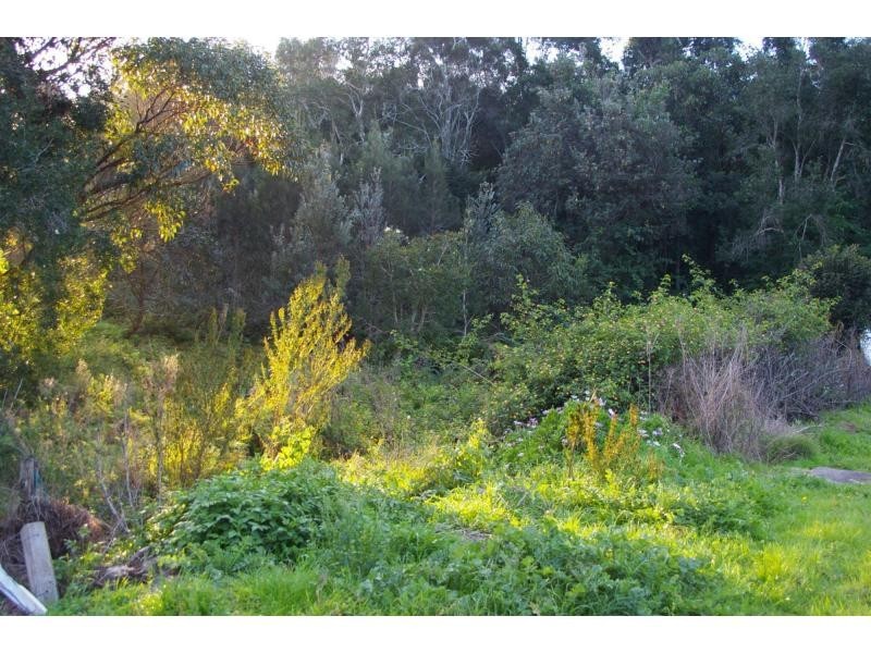 3 Koala Place, One Mile NSW 2316