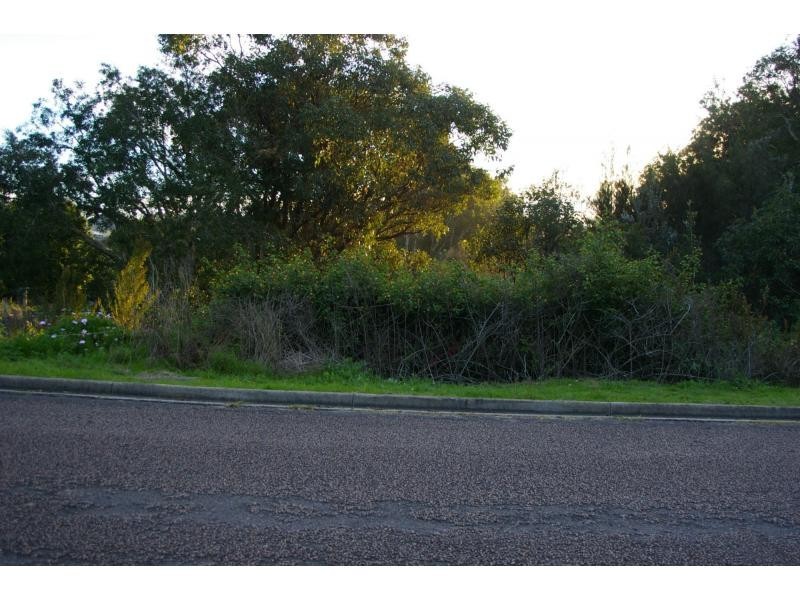 3 Koala Place, One Mile NSW 2316