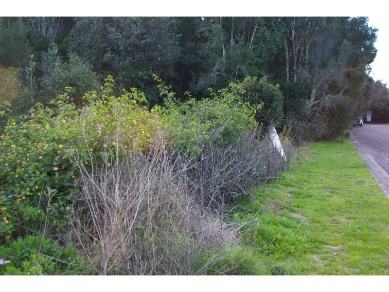 3 Koala Place, One Mile NSW 2316