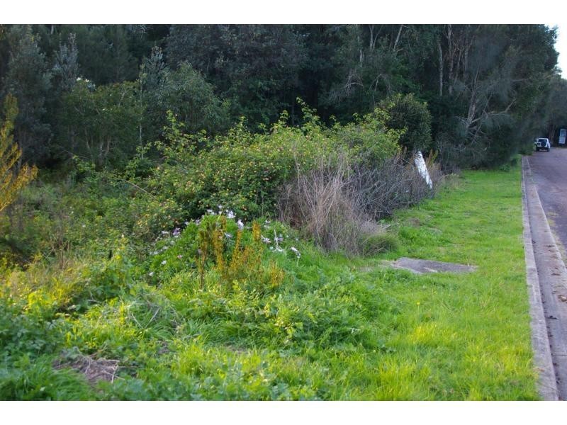 3 Koala Place, One Mile NSW 2316