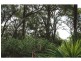 Mallabula NSW 2319