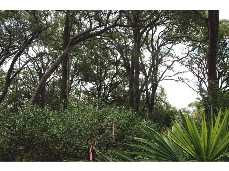 Mallabula NSW 2319