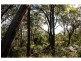 Mallabula NSW 2319