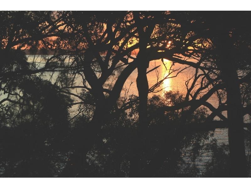 Mallabula NSW 2319
