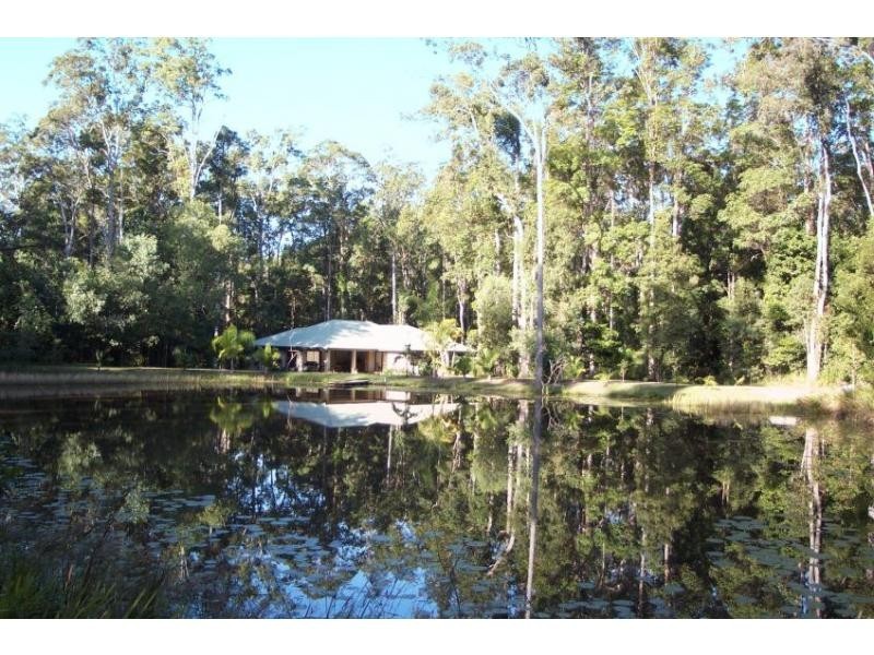 272 Ringtail Creek Road, Ringtail Creek QLD 4565