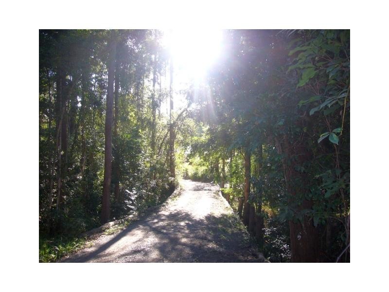 272 Ringtail Creek Road, Ringtail Creek QLD 4565