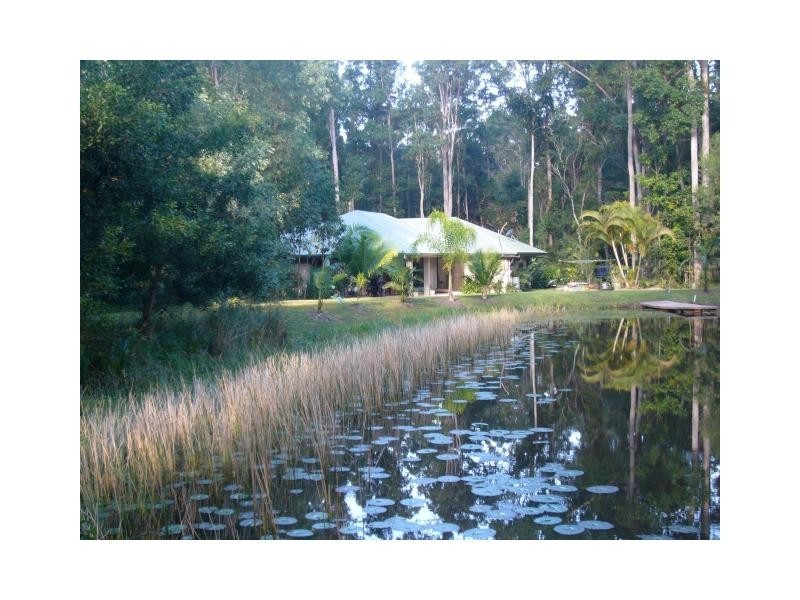 272 Ringtail Creek Road, Ringtail Creek QLD 4565