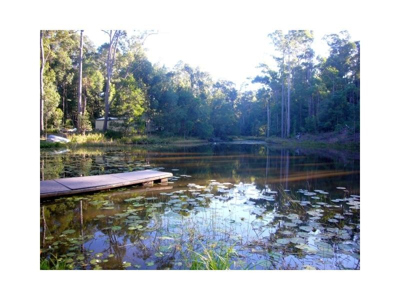 272 Ringtail Creek Road, Ringtail Creek QLD 4565