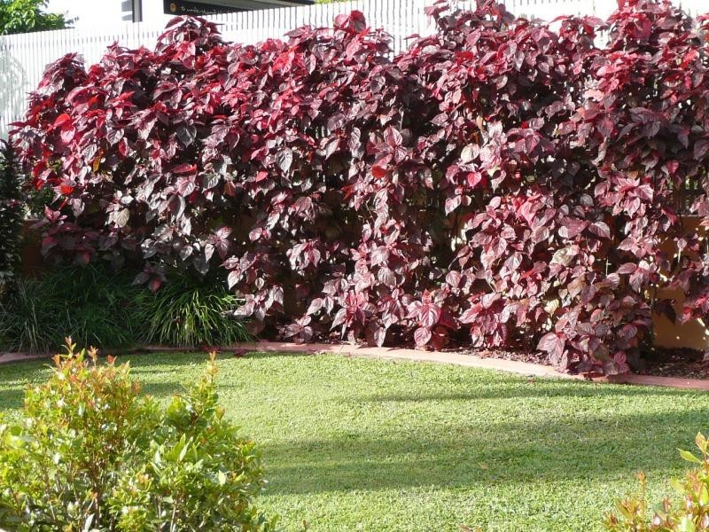 1/225 Gympie Terrace, Noosaville QLD 4566