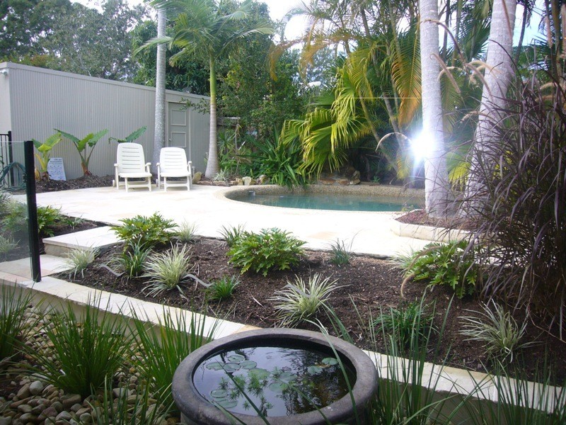 31 Heron Court, Tewantin QLD 4565