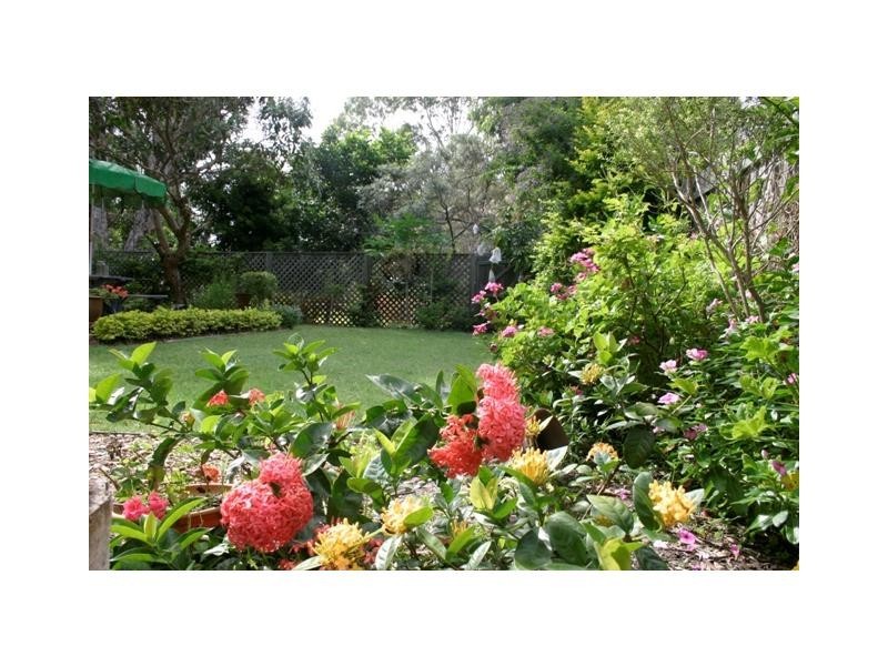 19 Creek Road, Noosaville QLD 4566