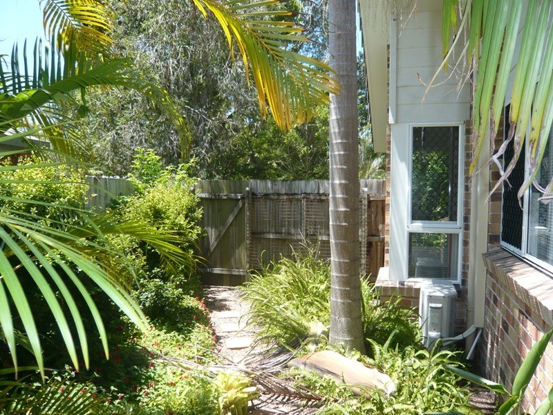 39 Carramar Street, Tewantin QLD 4565