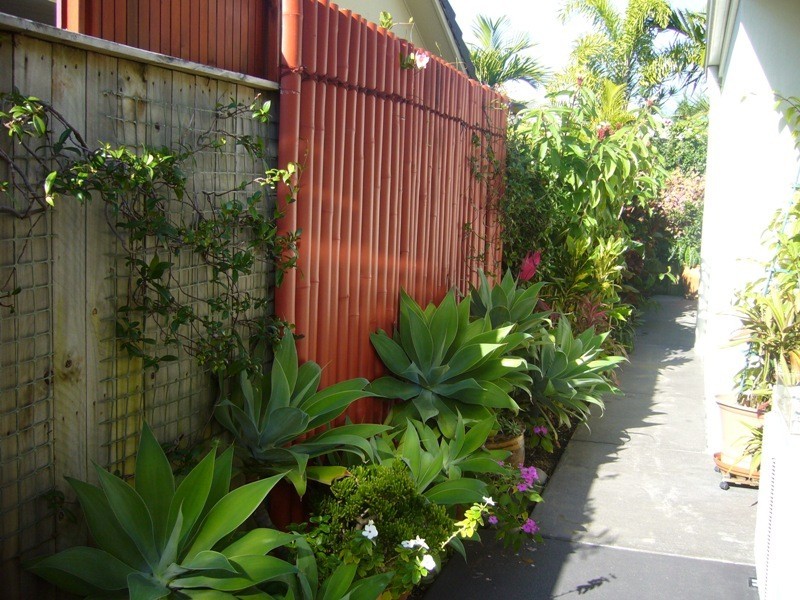 Noosaville QLD 4566