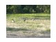 Lot 000 Romanda Place, Sunset Estate, Marsden QLD 4132