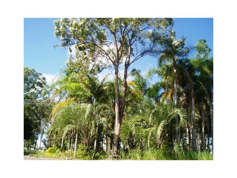 Chambers Flat QLD 4133