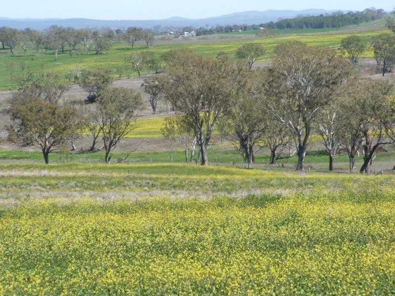 Mount Marshall QLD 4362