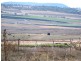 Mount Tabor QLD 4370