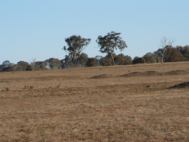 Loch Lomond QLD 4370